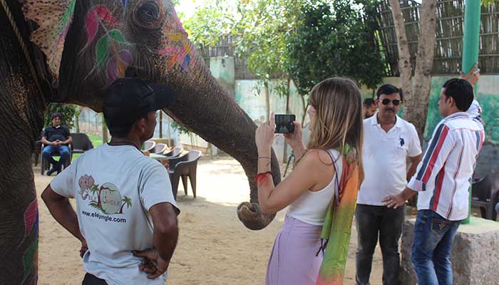 Introduction with Elephant